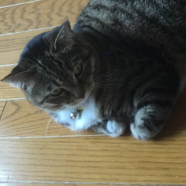 E6c198fe cd5f 4aca 90d4 eacf3ec864f2 1556680563775