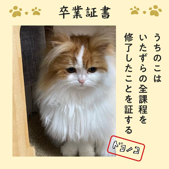 E6c199ef 8bee 4593 ab7e 69772c68a9a9 1772235593821