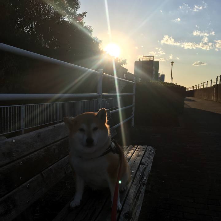 E6c1ad58 e8e0 455c 9e15 1975ca034bde 1612433672961