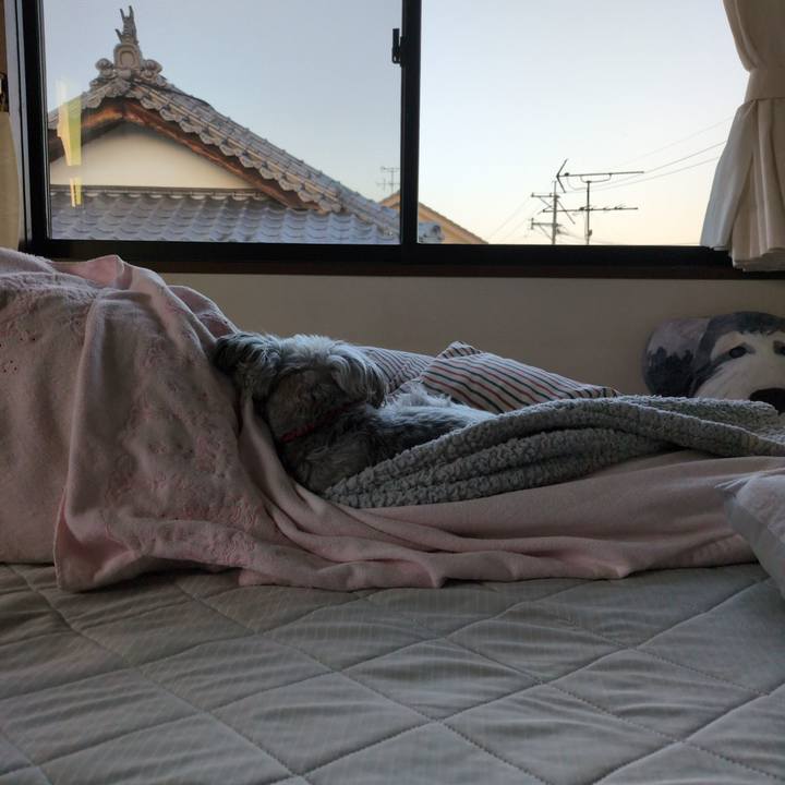 E6c1b8e7 61ef 4daa b2e3 69522352340c 1762552925533