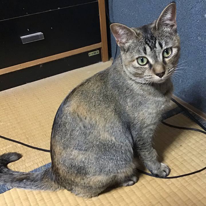 E6c2056a a586 4aec 81a6 5a1830a806f5 1580721312999