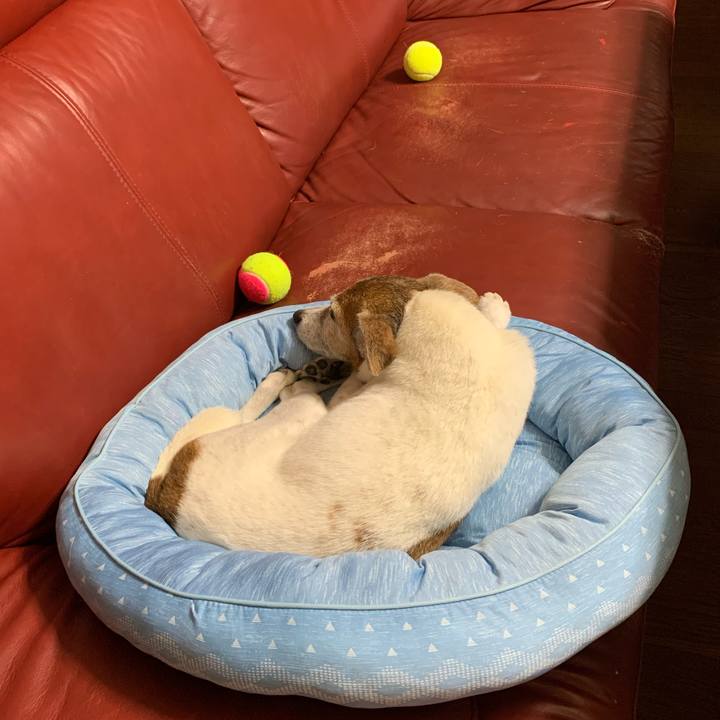 E6c2159b d301 4c98 bc9a 5fef3b7cb379 1626877000245