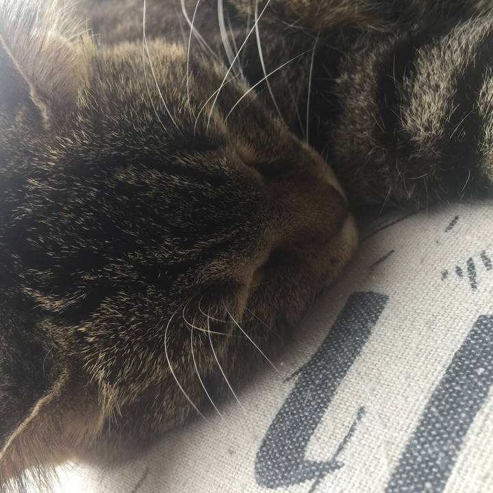 E6c241f0 4d2f 46c6 b507 39da186eb68b 1569025427190