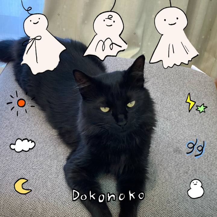 E6c261b4 dde0 4288 8366 ccc52d3c8e44 1749201447691