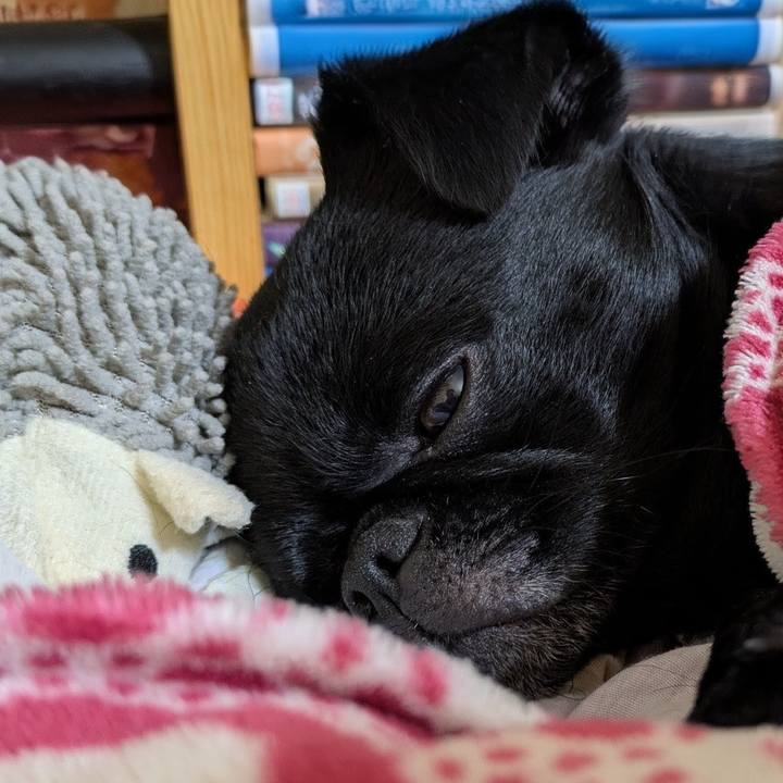 E6c282cf c0e9 4129 81e7 36d2cd03780d 1765114978084