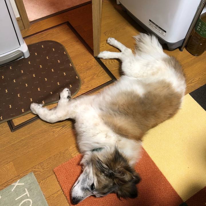 E6c2c314 cc8e 4530 b831 9ee643c22275 1531576812869