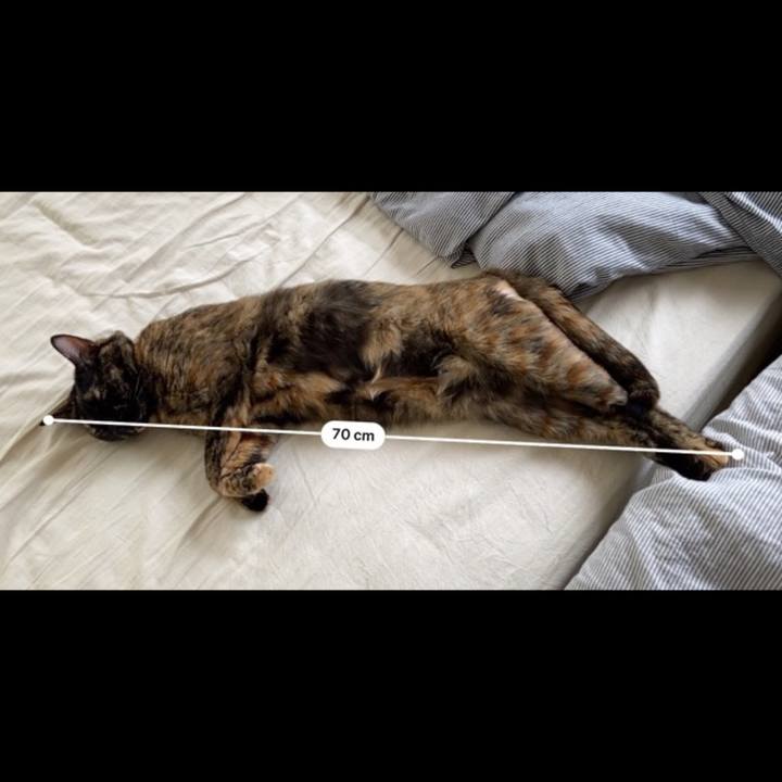 E6c2cfce 9e46 4295 94d8 378feae47770 1592828612433