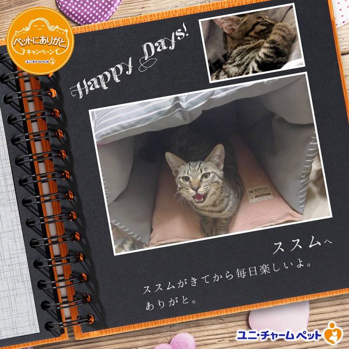 E6c33ed4 f99b 4cb5 9835 525be698b5c7 1541670598776