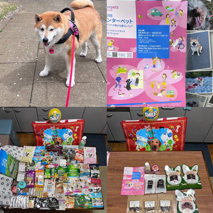 E6c364cf a696 4a45 a70c ded5e8a9610e 1680438180204