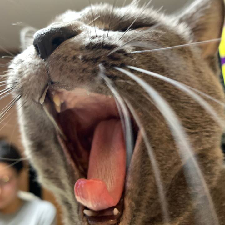 E6c37282 3c55 406f 8076 e2349e0a642f 1642337814427