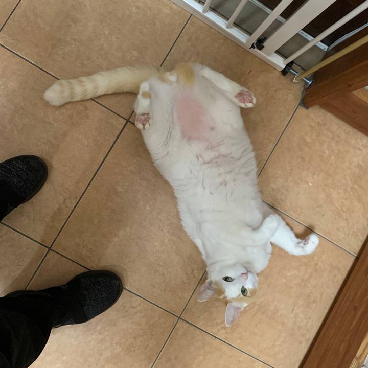 E6c39cb1 2f03 467e b1cb b5f2ecfe2812 1668685070928