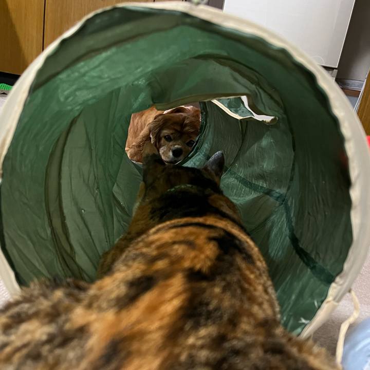 E6c3a5dc 1a59 4e59 bb85 308c30b495b2 1720695629101