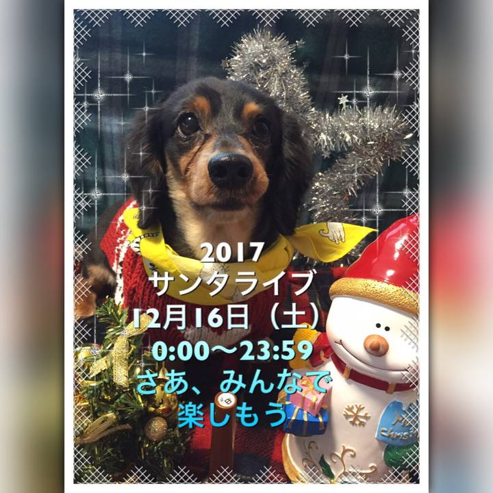 E6c3cb7a 01df 4289 b1ba 92d935b07cd9 1512125521908