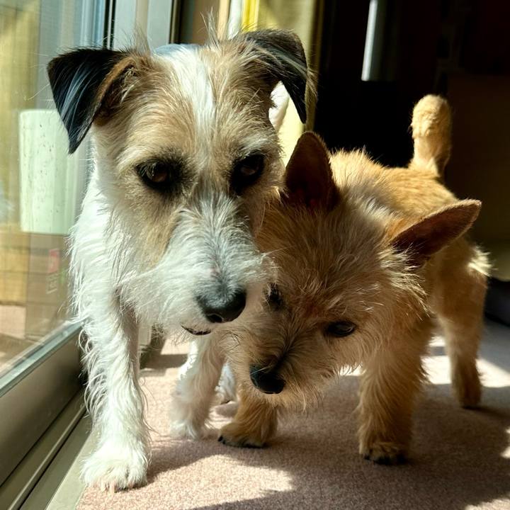 E6c3e1a0 24a5 4f2c 90fd 7562de411893 1710567181251