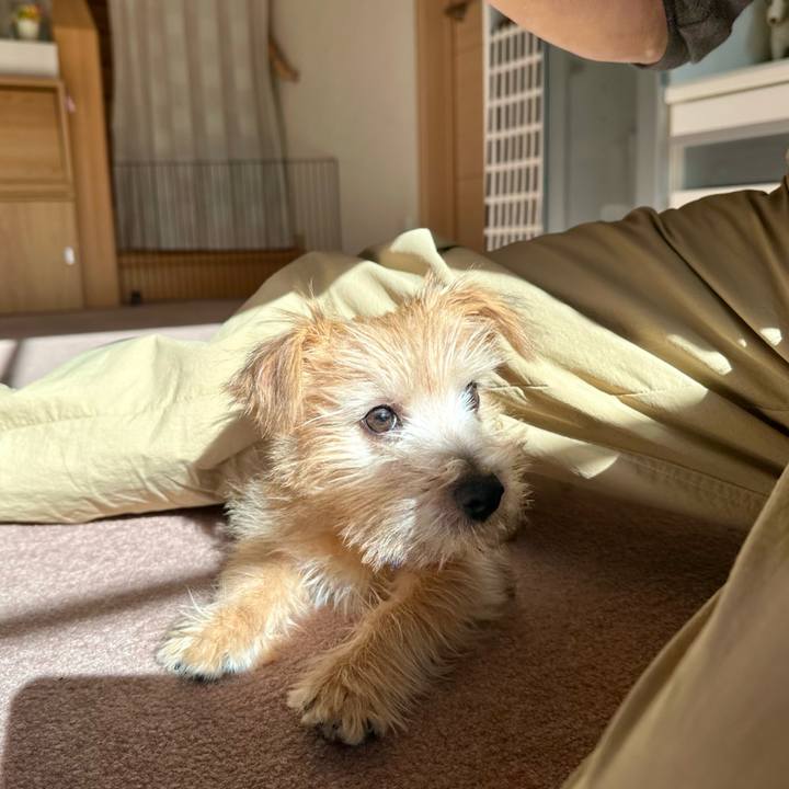 E6c45731 52a0 4a03 bb19 354965de92ca 1702977047808