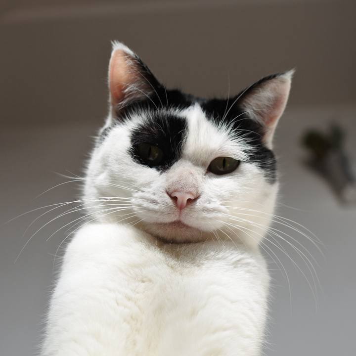 E6c47d6c 71d9 4343 938e 1a5c1abef6fd 1723814851995