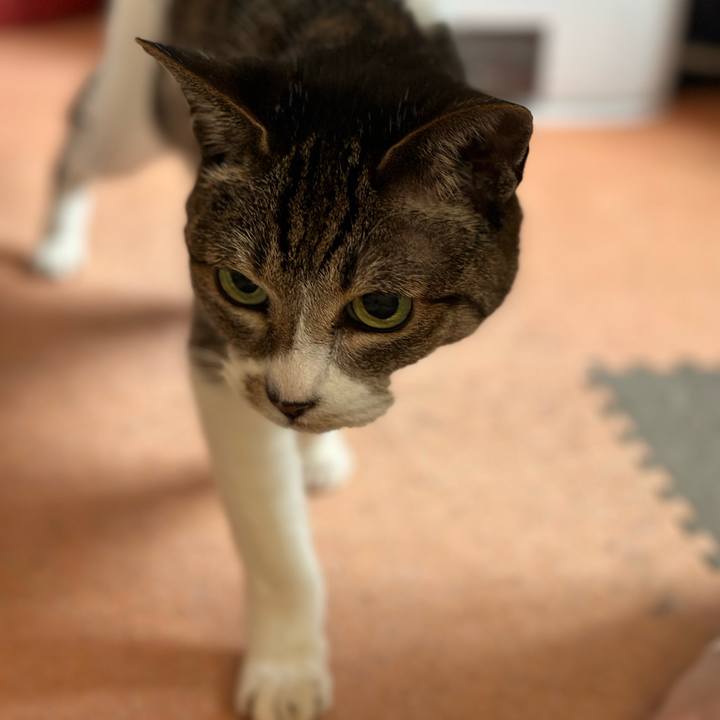 E6c4af30 b35b 436f 837b 671b4c37533e 1680486907970