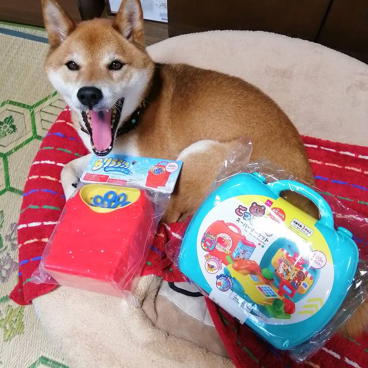 E6c4ceb8 1031 4050 9b5f 3a2d242f9d8d 1626344442254