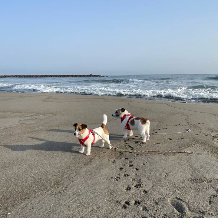 E6c4f306 2cc2 4eb3 b504 8e12ebaed176 1678508383930