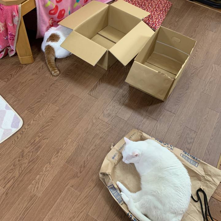 E6c4f4e2 2f78 4190 a25a f6451f3f84b2 1650664574934