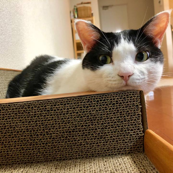 E6c4f901 b9b0 4492 9058 c6b676e72534 1531385415698