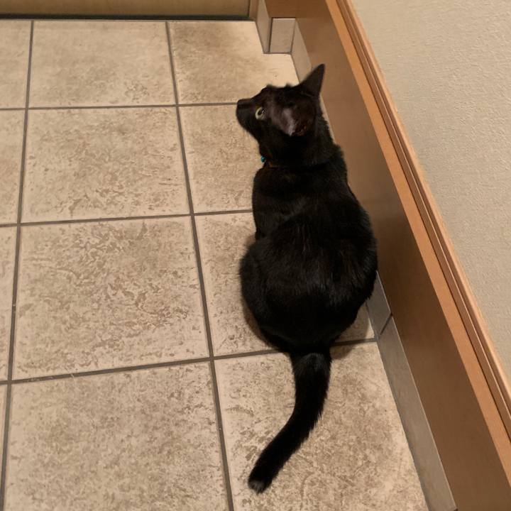 E6c51d96 8c50 4228 8260 b4ec2a7aab0e 1569074719995