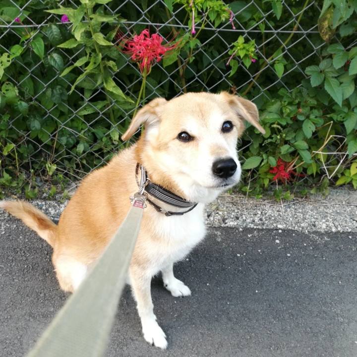 E6c526ef c9ac 46b1 916e 4ff4001d16ba 1569499913719