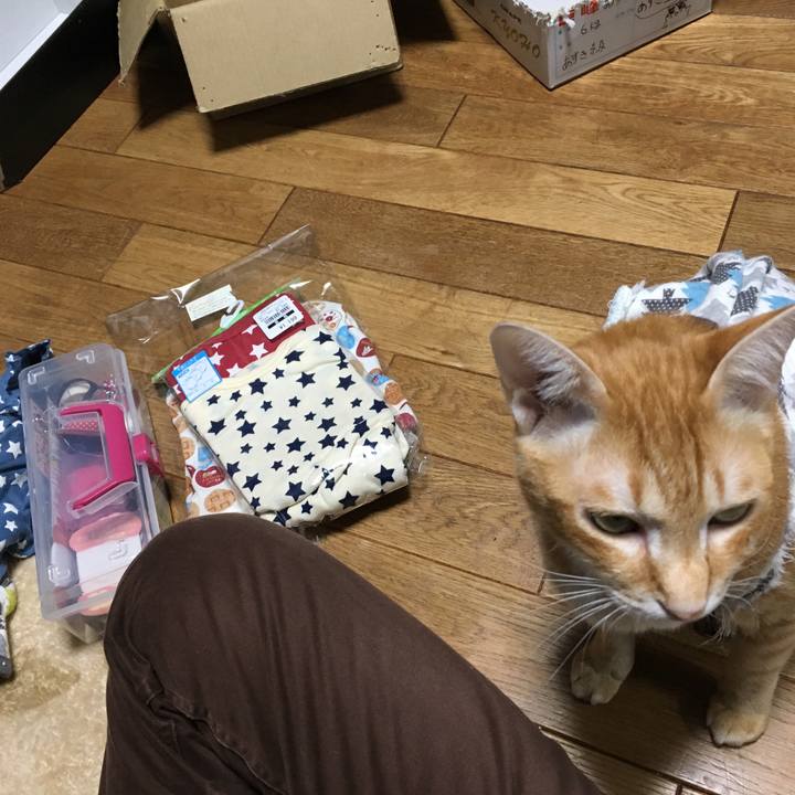 E6c552e8 b510 4b1e 894b 5ad865f0f7a2 1512811890609