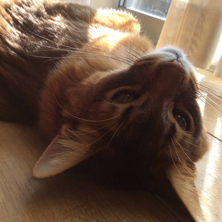 E6c57812 6eca 4480 9b6e 937315b73703 1613958391783