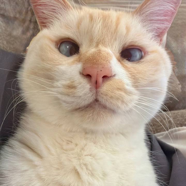 E6c5b640 1faa 4c6f 89df ac7687494627 1774510384248