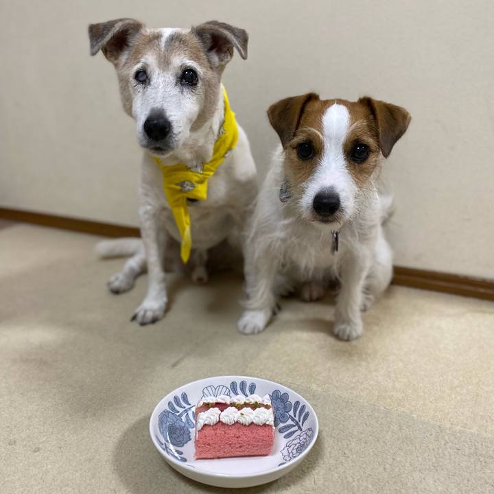 E6c5d710 3ffe 4c82 89c3 aa08503aa1b7 1696762765478