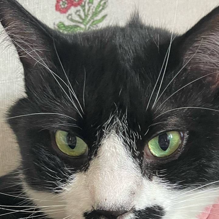 E6c5d9a1 ee35 4c30 9d4f 10206401f096 1749942512121