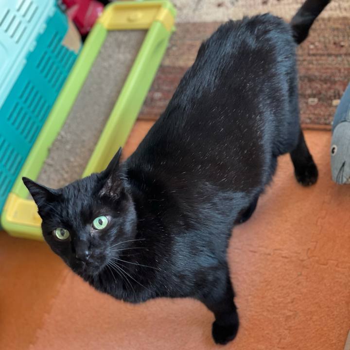 E6c5f5e3 dd35 4706 aa23 e298197bf67e 1618191751780