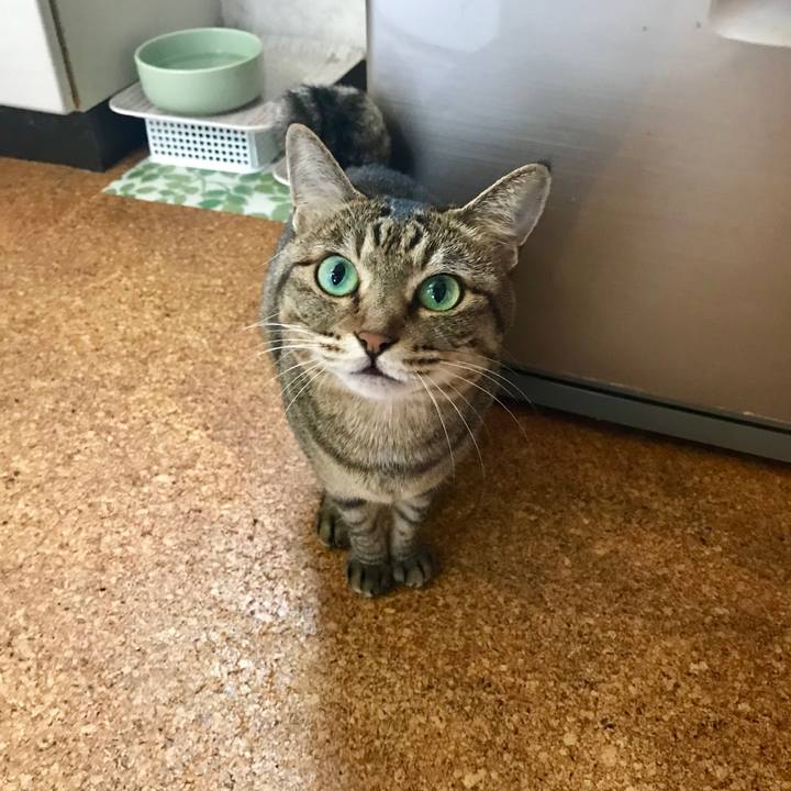 E6c5fef1 d559 48b9 b133 cd4595c2cbd1 1532919193826