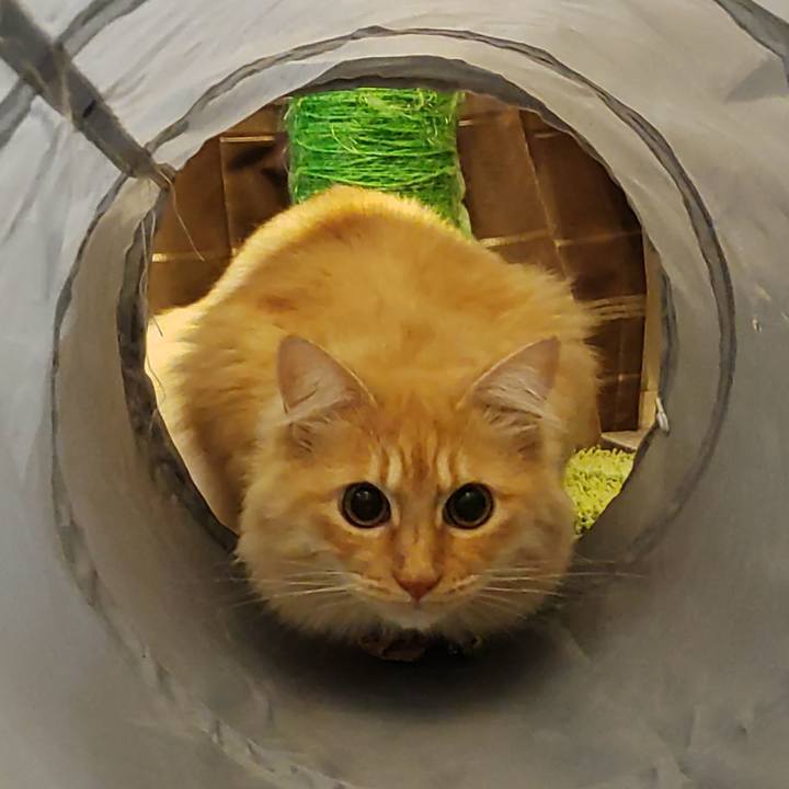 E6c6115f 8c9a 4148 8d59 e896b25d202a 1669758386008