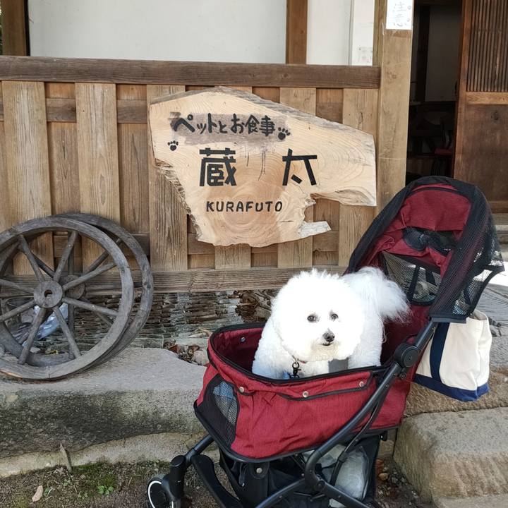 E6c619f2 cd0e 4140 9053 32924ad688f9 1762597534163