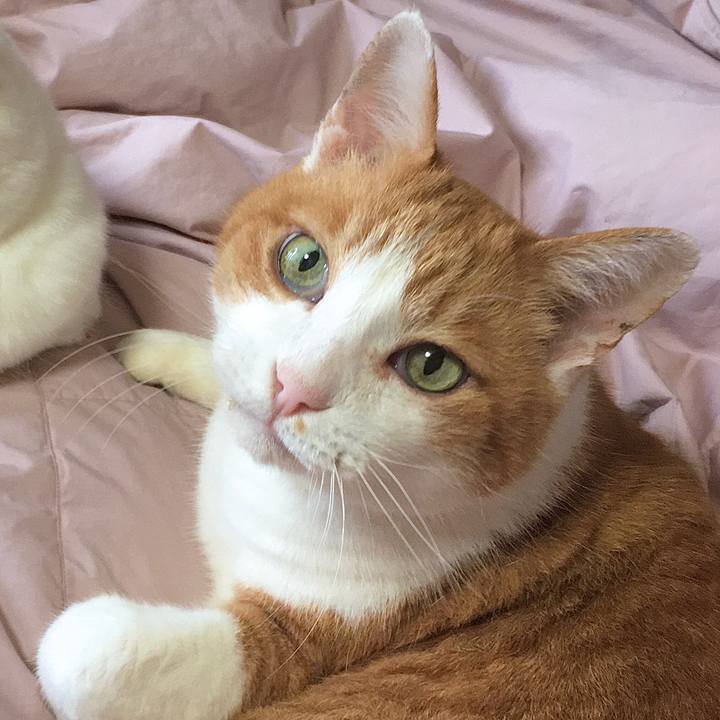 E6c61a98 4d36 4795 adee f0a521b81c0b 1608016543335