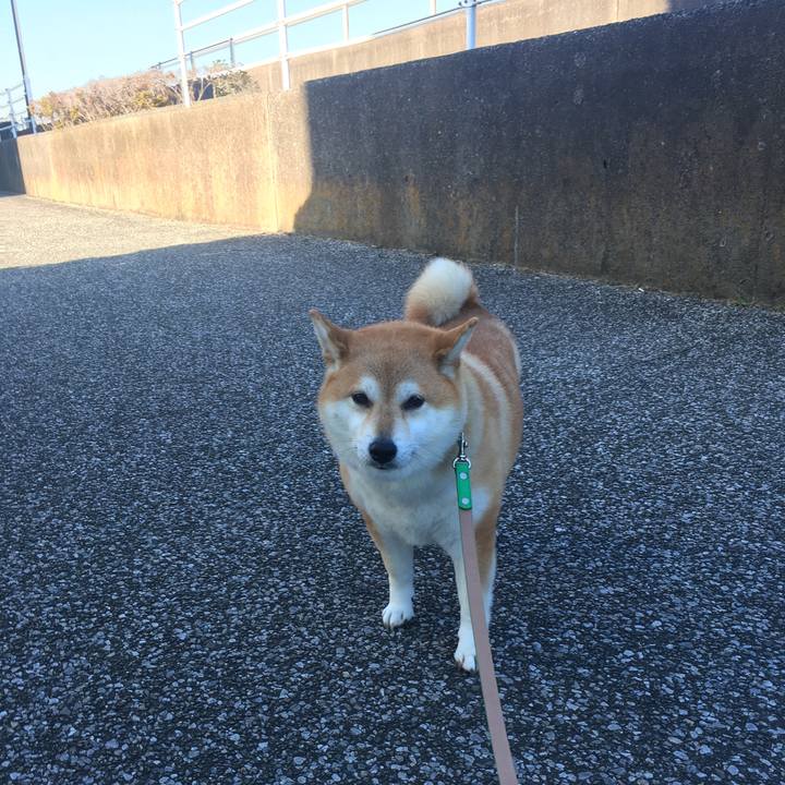 E6c61d0a 78ad 4da0 9349 b123302d01f3 1607388235917