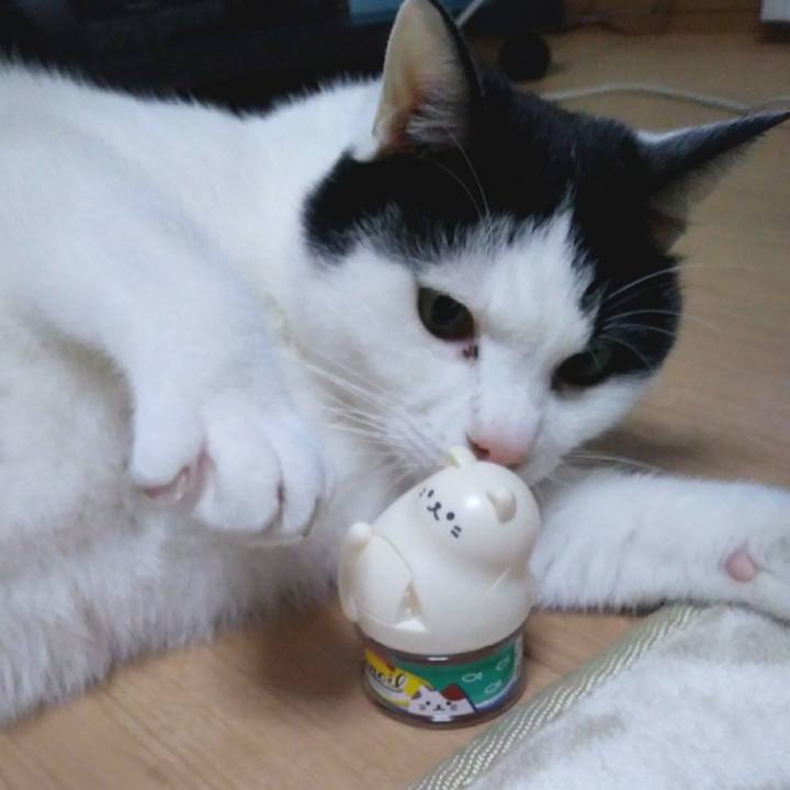 E6c61d5d 6770 4c41 ac85 97c30edb639d 1555064774303