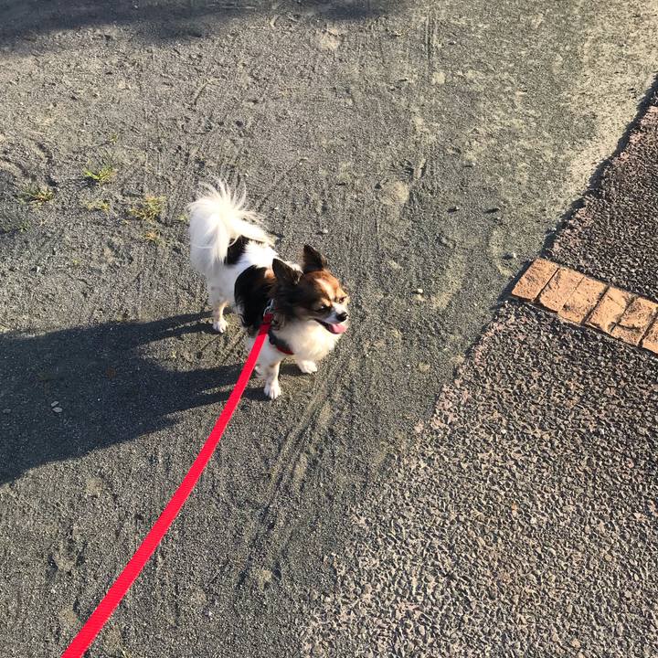 E6c62e87 eab0 400c 8f10 ce25a569fc48 1564781908692