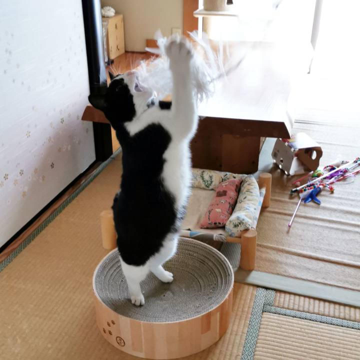 E6c683c6 02ab 4e94 8cee 5a236d23246f 1629690749102