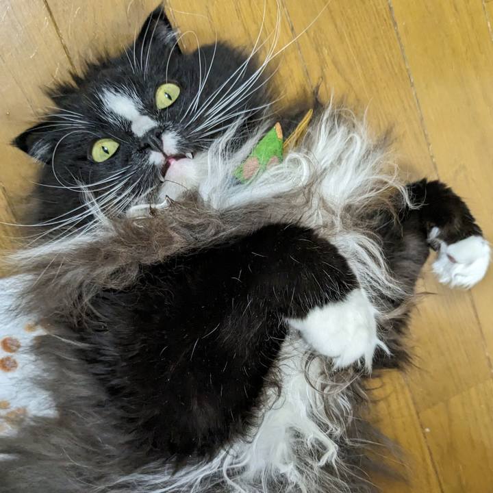 E6c6ff54 5adb 414e 8a83 0af0d746f316 1699792042641