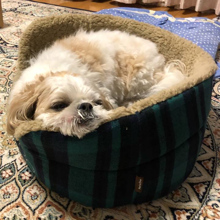 E6c765ef 6827 4daf 8b13 2de944d33595 1540083273505