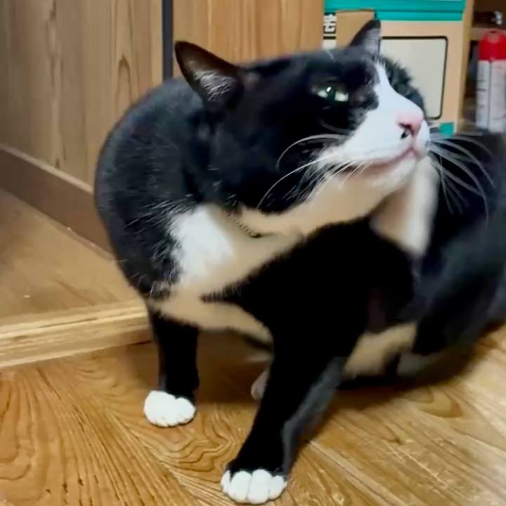 E6c781ce 71c4 4dfb bf60 275bfddbb201 1767354208257