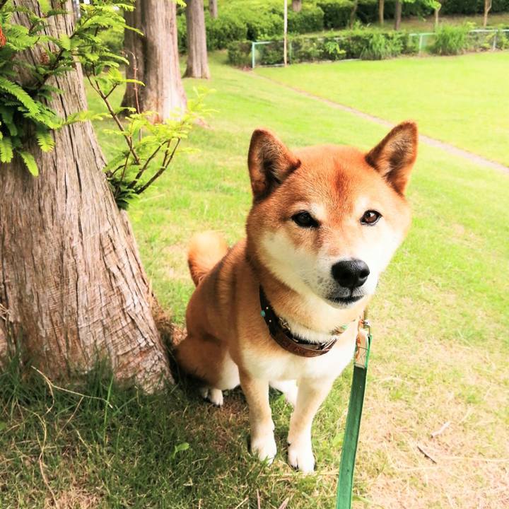 E6c78822 61e9 4cbe b7c2 4f7e330204eb 1623630858029