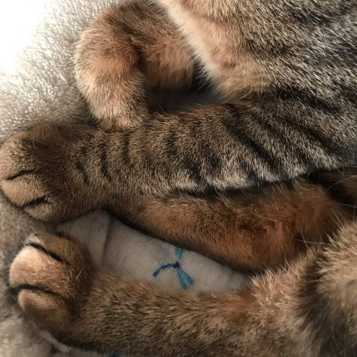 E6c7a40e 3876 45f1 9a1e 23bad882b94b 1595032632438