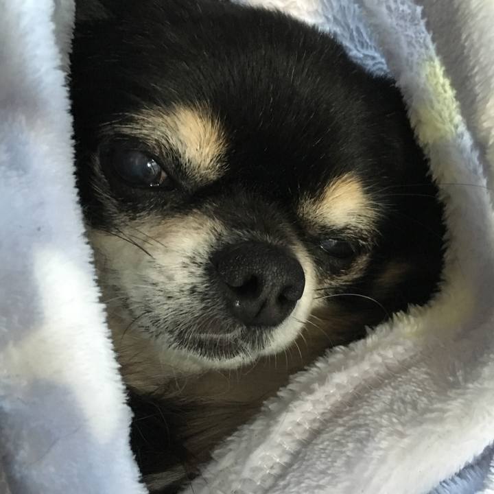 E6c7aa27 974b 4f3e a413 ef9d3d2c7bb4 1509115661511