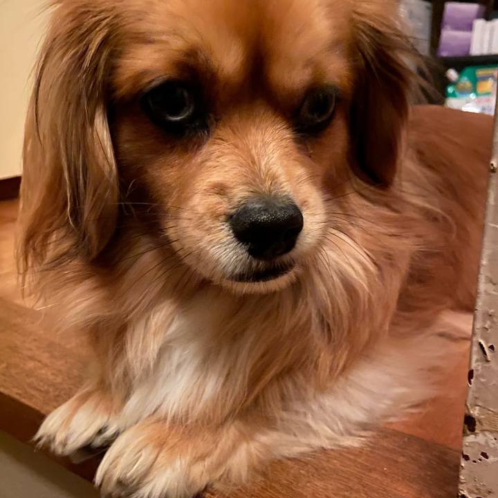 E6c7b787 86bf 4c72 9e75 2fd64a28f4b8 1581630078438