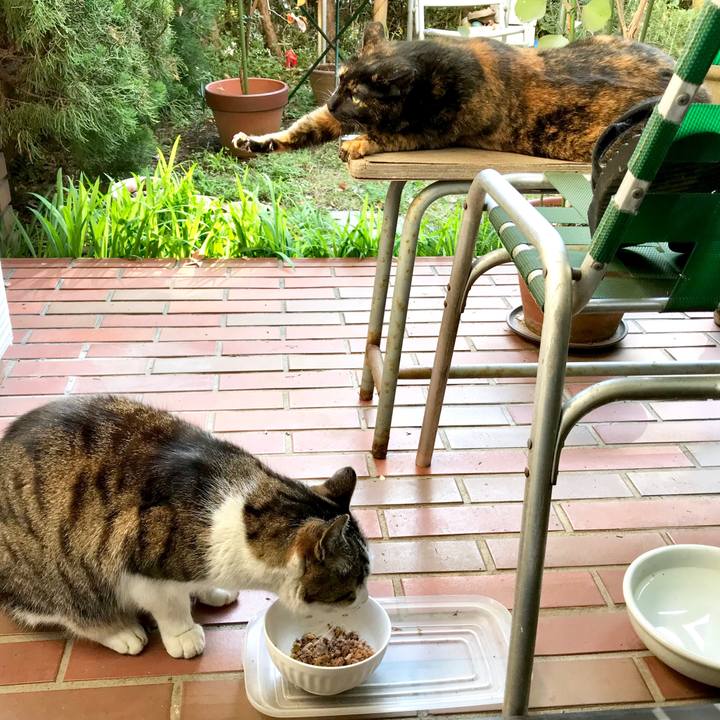 E6c7ea35 c1a1 4eaa b8c4 bf0bdf6e1fc5 1543118850014