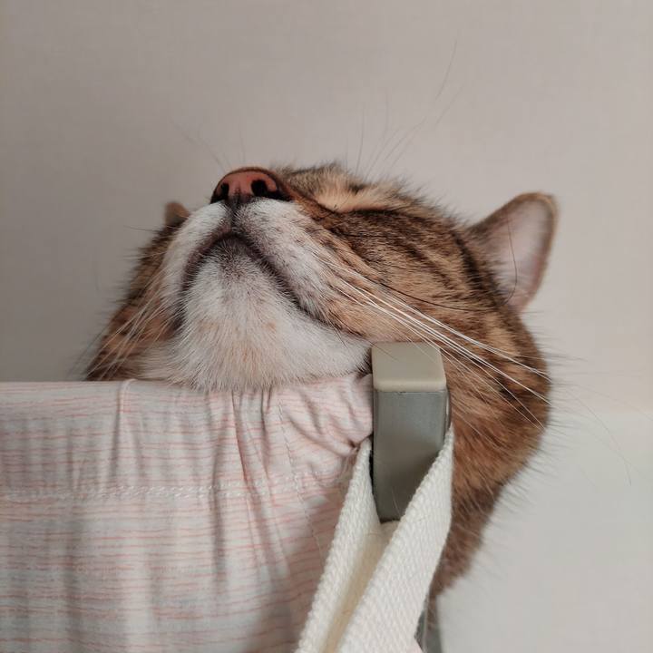 E6c81aee 52d2 44cb 9d6d f416fd24b5c0 1699401126638